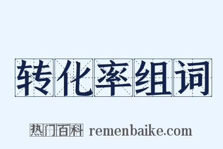 转化率组词是什么意思的图片